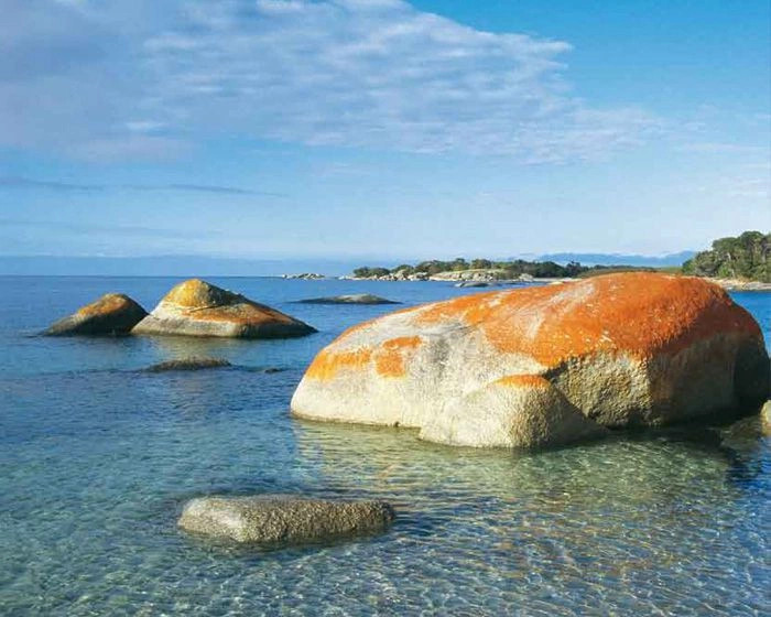 о.Тасмания