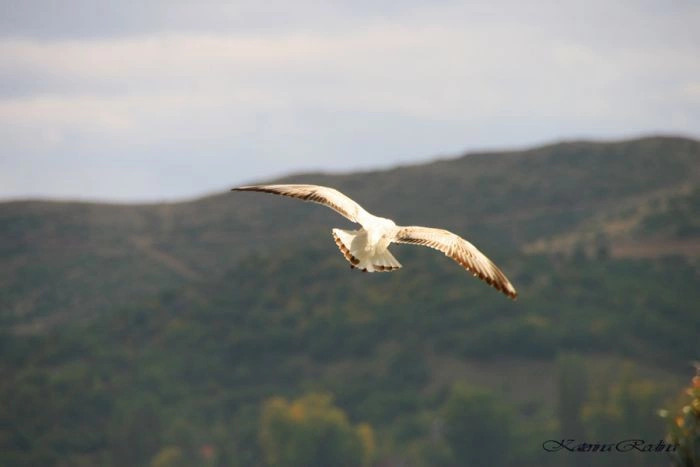 Каламбака