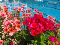  Sunshine Pearl Hotel