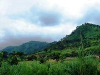  РћС‚РµР»СЊ 3*