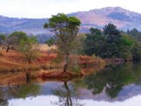  РћС‚РµР»СЊ 3*