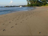  Duwawaththa Beach House