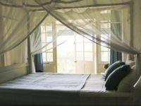  Ashburnham Tea Estate