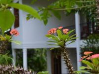  Hillside Relax Villa