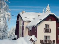  Apartments and Rooms Planinska Idila