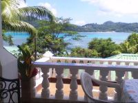  Seychelles Yellow Petals