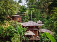  Fig Tree Hill Resort