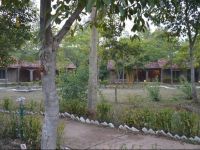  Mogli Jungle Resort Bandhavgarh