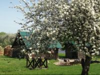  Viesu mВ­ДЃja ArkДЃdija