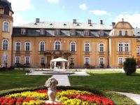  PaЕ‚ac Е»elazno