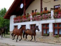  PenziГіn U bieleho koЕ€a