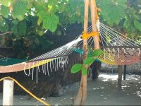  Bahari Pizza Restaurant Bungalows