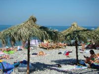  Tashir health complex