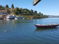  Alunco Departamentos