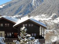  Apartment Aragon XXIV Ernen