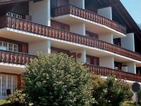  Apartment Le Mont Blanc II Chesieres