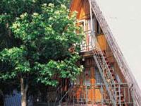  РџСЂРёРјРѕСЂСЊРµ РўРћРљ