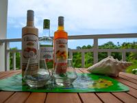  La Maison D'abigaëlle - Appart Orange