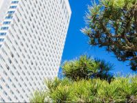  Sheraton Grande Ocean Resort