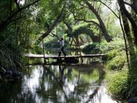  Amanvana Luxury Boutique Spa Resort