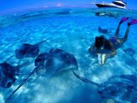  The Mill Resort and Suites