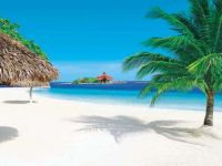  Sandals Royal Caribbean Resort & Private Island