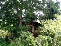  Galkadawala Forest Lodge