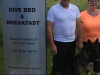 Give Bed & Breakfast