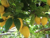  Casa Fasano Country House