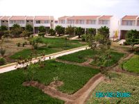  Crioula Club Hotel And Resort Santa Maria (Cape Verde)