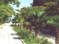  РЎРµРјРёРґРІРѕСЂСЊРµ