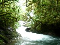  РћС‚РµР»СЊ 3*