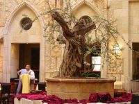  Olive Tree Hotel Jerusalem