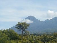  РћС‚РµР»СЊ 5*