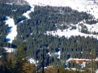  Carlo Magno Zeledria