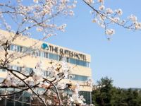  The Suites Hotel Gyeongju