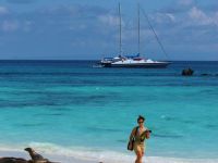  РћС‚РµР»СЊ 4*