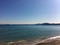  The Comfy Hostel Studios