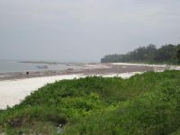  Nyali Beach