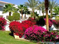  Sharm Dreams Resort