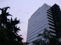  Tirana International