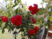  Baglio Costa Di Mandorla