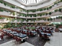  Holiday Inn Moscow Vinogradovo hotel