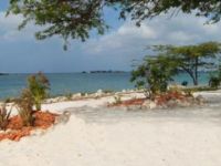  Sea Breeze Apartments