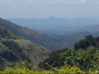  Ella Paddy Field View Guest Inn