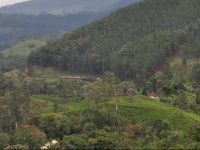  Country Comfort Hotel Ella