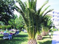  Mitsis Faliraki Beach