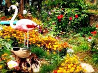  Sweet Home Mini-hotel Dilijan