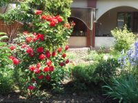  Na Beregu Chernogo Morya