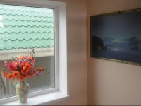  Recreation Center Dolphin